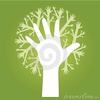 albero